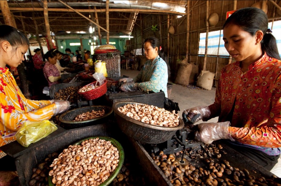 IFAD Alimentaire