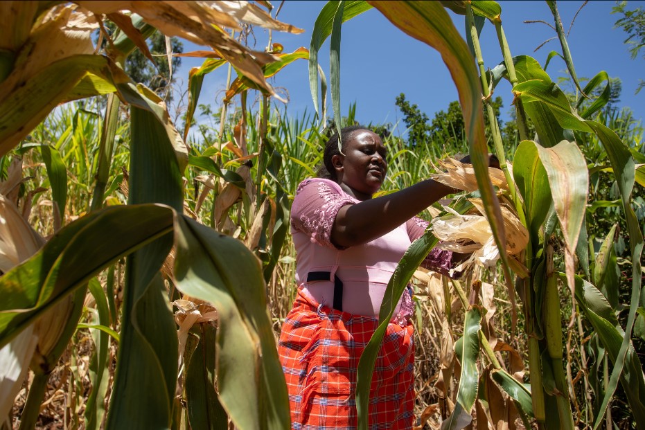 FIDA mais IFAD Isaiah Muthui