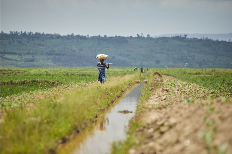Congo infrastructures