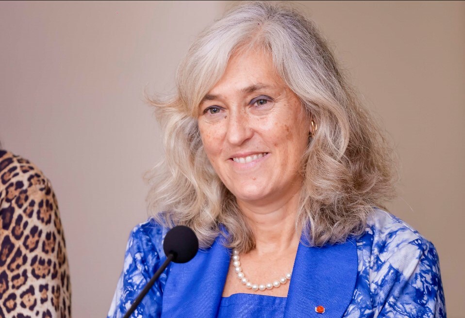 PR DiMauro 1