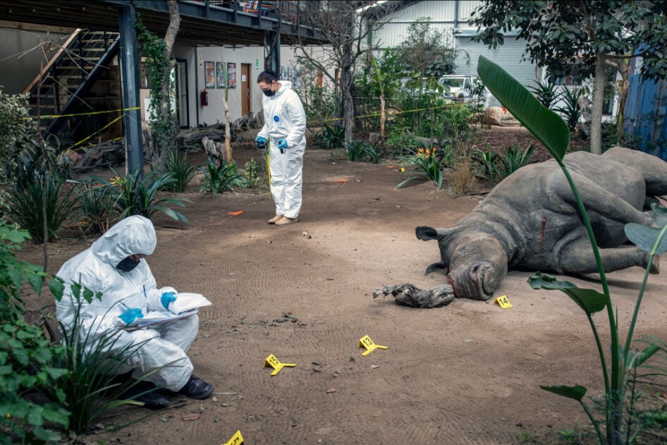Rhino science